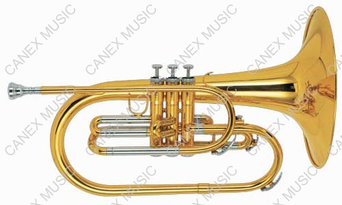 Marching Horns