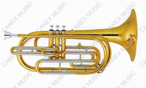 Marching Horn