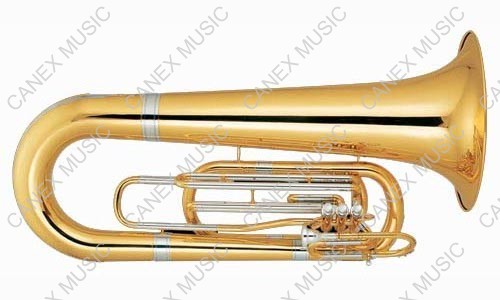 Marching Horns