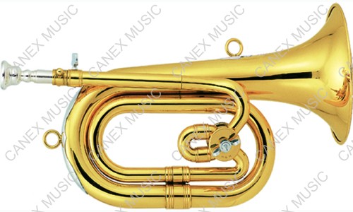 Bugle Horn